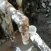View the image: 2010-07-27 11.06.14
